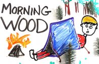 The-Science-of-Morning-Wood