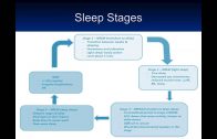 Sleep disturbance in children and their families across the continuum of care