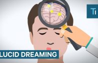 How-Lucid-Dreaming-Works