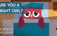 What-Happens-When-A-Night-Owl-Wakes-Up-Early
