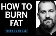 How-to-Lose-Fat-with-Science-Based-Tools