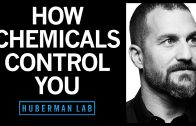 How-Smell-Taste-Pheromone-Like-Chemicals-Control-You