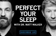 Dr. Matthew Walker: The Science & Practice of Perfecting Your Sleep | Huberman Lab Podcast #31