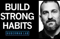 The-Science-of-Making-Breaking-Habits-Huberman-Lab-Podcast-53