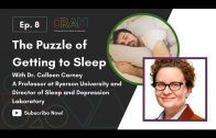 The-puzzle-of-getting-to-sleep