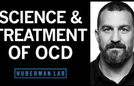 The-Science-Treatment-of-Obsessive-Compulsive-Disorder-OCD-Huberman-Lab-Podcast-78