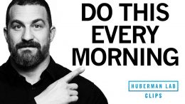 How-to-Feel-Energized-Sleep-Better-With-One-Morning-Activity-Dr.-Andrew-Huberman