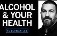 What-Alcohol-Does-to-Your-Body-Brain-Health-Huberman-Lab-Podcast-86