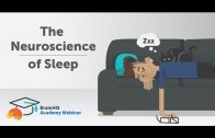 BrainHQ-Academy-The-Neuroscience-of-Sleep