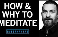 How-Meditation-Works-Science-Based-Effective-Meditations-Huberman-Lab-Podcast-96