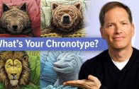 How-to-sleep-better-by-knowing-your-chronotype