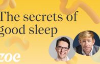 The-secrets-of-good-sleep-Professor-Matt-Walker
