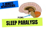 2-Minute-Neuroscience-Sleep-Paralysis