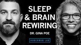 Dr.-Gina-Poe-Use-Sleep-to-Enhance-Learning-Memory-Emotional-State-Huberman-Lab-Podcast