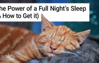 Sweet-Dreams-The-Vital-Importance-of-a-Good-Nights-Sleep-How-to-Get-It-Bill-Harris-Mind-Power