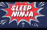 Introduction-to-Sleep-Ninja