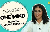 How-Prenatal-Sleep-Affects-Babys-Brain-Health-Claudia-Lugo-Candelas-One-Scientists-Mind