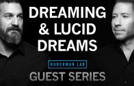 Dr.-Matt-Walker-The-Science-of-Dreams-Nightmares-Lucid-Dreaming-Huberman-Lab-Guest-Series