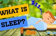 The-Mystery-of-Sleep-Why-and-How-Much-Sleep-Should-You-Get