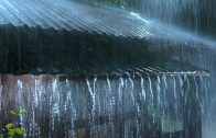Heavy-Rain-on-a-Metal-Roof-to-Sleep-Instantly-Rain-Sounds-Thunderstorm-for-Sleeping-at-Night-3