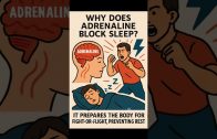 Why-Does-Adrenaline-Block-Sleep-shorts-viral-reels-quotes-1