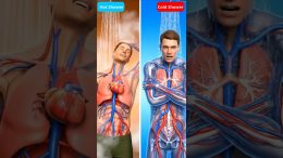 Hot-Shower-vs-Cold-ShowerWhich-One-Should-You-ACTUALLY-Take